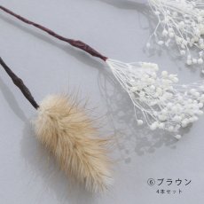 画像13: ドライフラワー【全7種類】【4本セット】[HC02] (13)