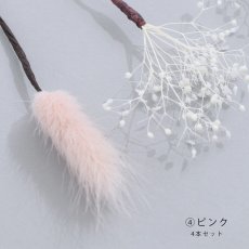 画像8: ドライフラワー【全7種類】【4本セット】[HC02] (8)