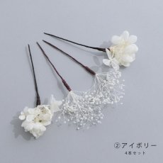 画像5: ドライフラワー【全7種類】【4本セット】[HC02] (5)
