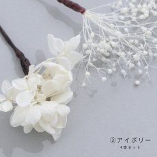 画像4: ドライフラワー【全7種類】【4本セット】[HC02] (4)
