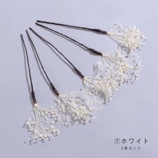 画像14: ドライフラワー【全7種類】【4本セット】[HC02] (14)