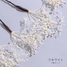 画像15: ドライフラワー【全7種類】【4本セット】[HC02] (15)