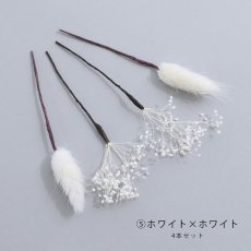 画像11: ドライフラワー【全7種類】【4本セット】[HC02] (11)