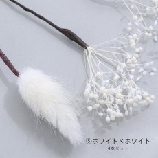 画像10: ドライフラワー【全7種類】【4本セット】[HC02] (10)