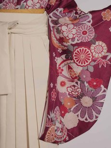 画像19: 【予約商品 / 1月中旬発送予定】菊×椿 ワインレッド二尺袖着物【卒業袴３点セット 二尺袖着物/帯/袴】 (19)