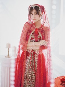 画像15: 【即日発送】【ハロウィン】アラビアンガール/アラジンコスプレセット【コスプレ7点セット】 【フリーサイズ/1カラー】[HC03] (15)