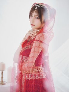 画像18: 【即日発送】【ハロウィン】アラビアンガール/アラジンコスプレセット【コスプレ7点セット】 【フリーサイズ/1カラー】[HC03] (18)