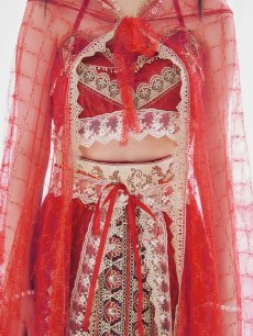 画像21: 【即日発送】【ハロウィン】アラビアンガール/アラジンコスプレセット【コスプレ7点セット】 【フリーサイズ/1カラー】[HC03] (21)