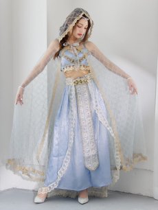 画像11: 【即日発送】【ハロウィン】アラビアンガール/アラジンコスプレセット【コスプレ7点セット】【フリーサイズ/4カラー】[HC03] (11)