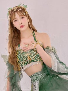 画像1: 【即日発送】【送料無料！】【ハロウィン】エキゾチックエルフ【コスプレ3点セット】【フリーサイズサイズ/2カラー】[HC03] (1)