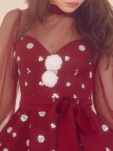 画像17: 【即日発送！】【サンタコス 4点セット】【XS-XLサイズ/2カラー】チュールロングスリーブハイネックサンタ[OF04] (17)