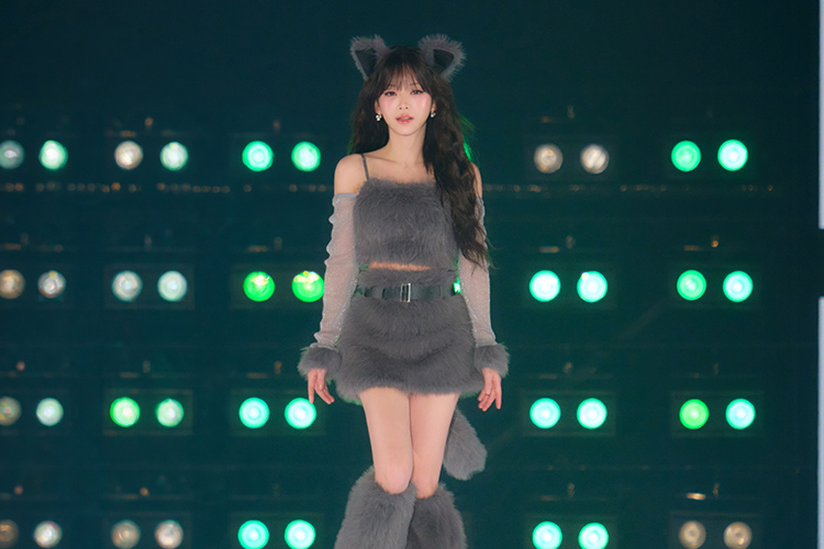 関コレ2026 A/W テリ 着用 ウルフコスプレ/グレー