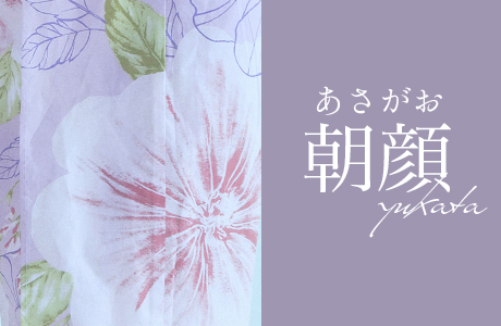 朝顔浴衣一覧
