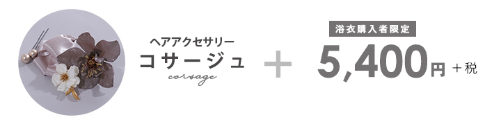 髪飾り