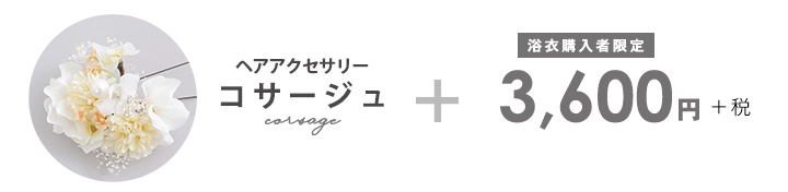 髪飾り